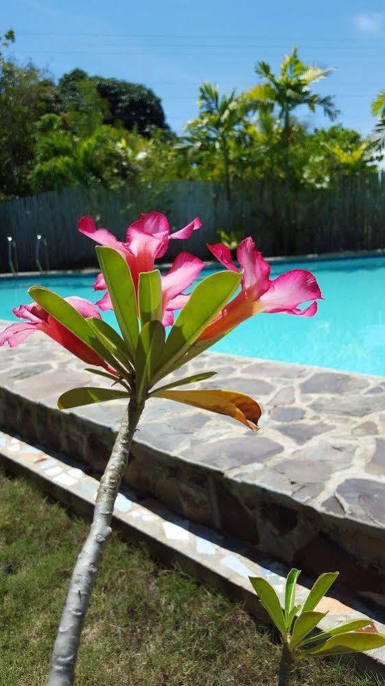 Villa Formosa Panglao Zewnętrze zdjęcie